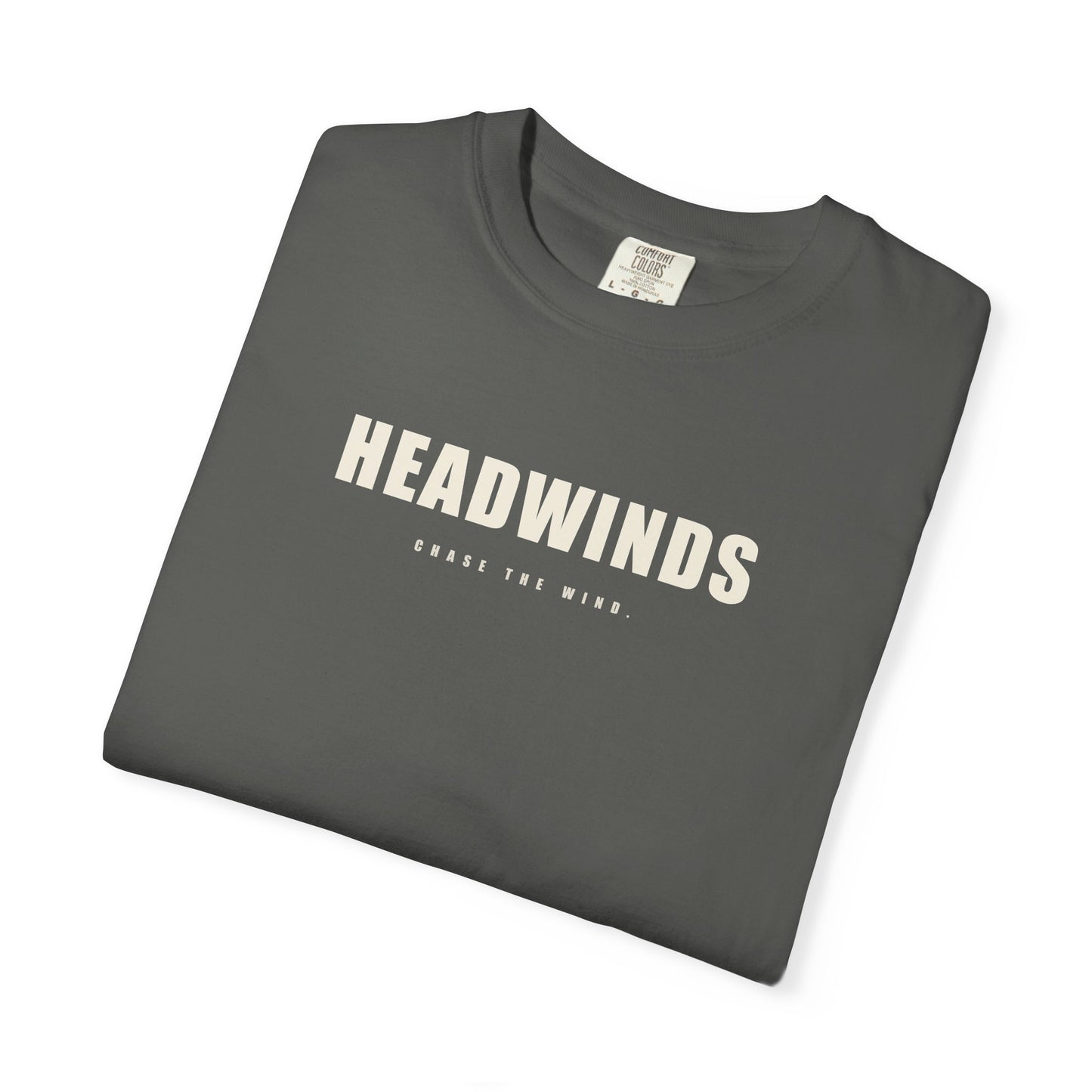 The Definition Tee — garment-dyed cotton tee with the HEADWINDS dictionary definition back print