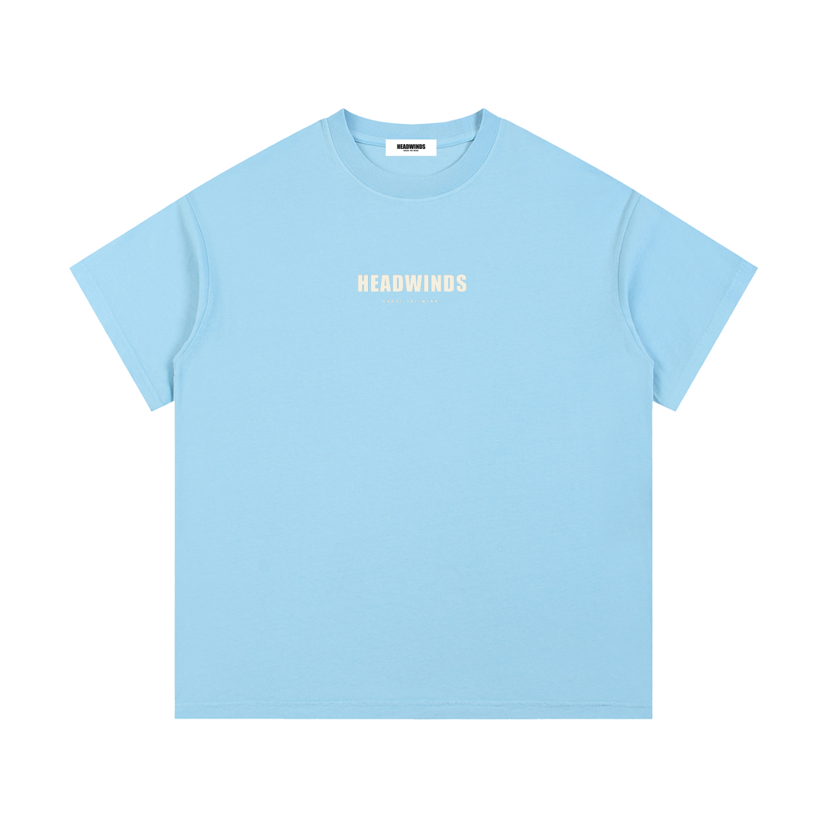 The Definition Tee - vintage washed cotton with the HEAD WINDS definition print across the back